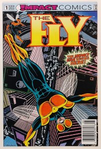 The Fly #1 Newsstand (1991)