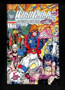WildC.A.T.S. #1 Jim Lee Cover and Art!
