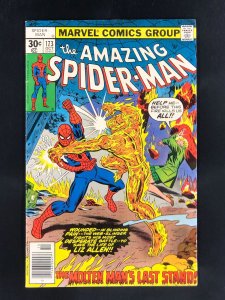 The Amazing Spider-Man #173 (1977)
