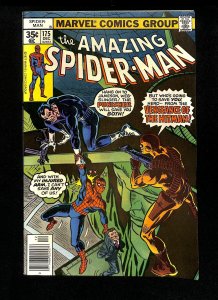 Amazing Spider-Man #175 Punisher! Death of the Hitman!