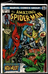 The Amazing Spider-Man #124 (1973) Spider-Man [Key Issue]