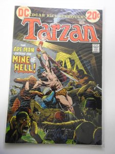 Edgar Rice Burroughs' Tarzan #215 (1972)