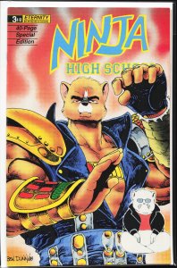 Ninja High School #3½ (1988)