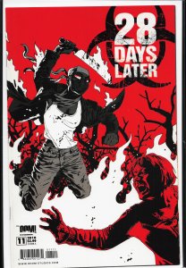 28 Days Later #11 (2010)