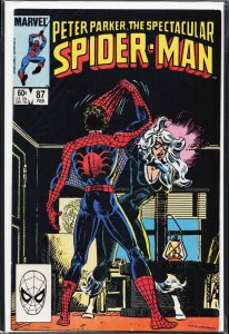 The Spectacular Spider-Man #87 (1984) Spider-Man