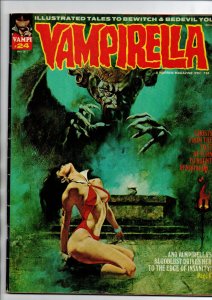 Vampirella #24 - vampire - Horror Magazine - Warren - 1973 - VG