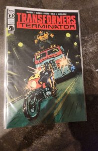 Transformers vs. the Terminator #3 (2020)