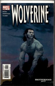 Wolverine #4 Direct Edition (2003) Wolverine