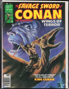 The Savage Sword of Conan #30 (1978) Conan