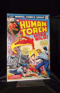 The Human Torch #2 (1974) Human Torch 