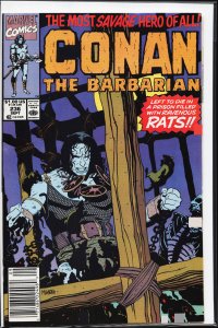 Conan the Barbarian #236 (1990) Conan