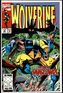 Wolverine #69 (1993) Wolverine