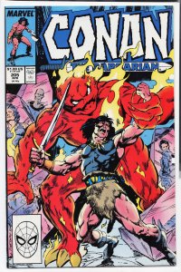 Conan the Barbarian #205 (1988) Conan
