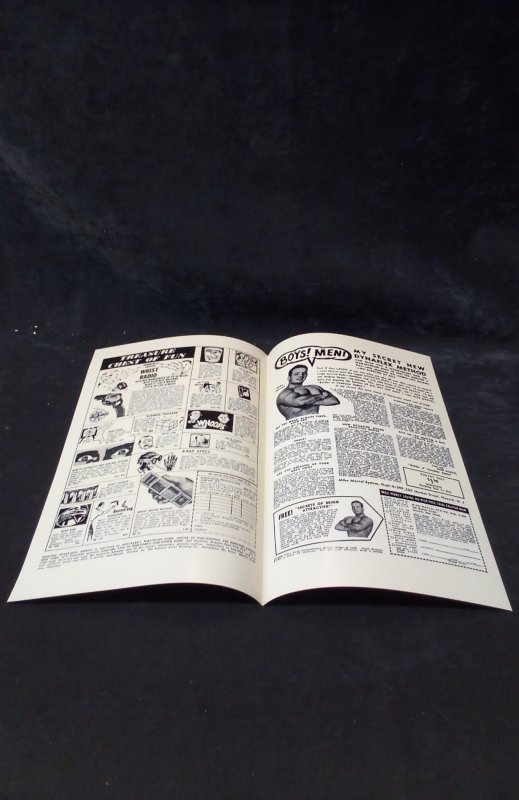 The Amazing Spider-Man Annual #1 Facsimile Cover Only