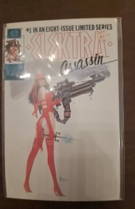 Elektra: Assassin #1 (1986) Elektra 