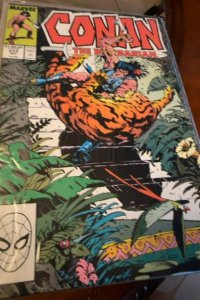 Conan the Barbarian #213 (1988) Conan 