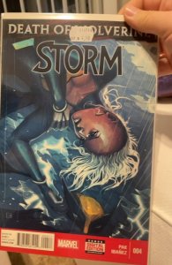 Storm #4 (2014)  