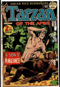 Edgar Rice Burroughs' Tarzan #208 (1972)