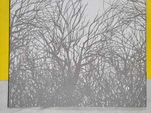 The Woods #1 Joe Eisma Unlocked Retailer Variant 2014 Boom! Studios Optioned