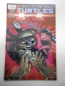 Teenage Mutant Ninja Turtles #36 (2014)