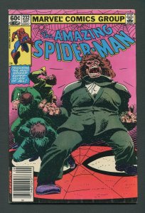 Amazing Spiderman #232 / 8.0 VFN  September 1982