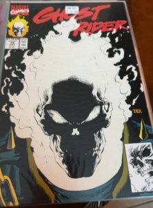 Ghost Rider #15 (1991) Ghost Rider 