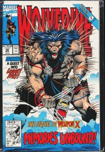 Wolverine #48 (1991) Wolverine