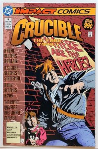Crucible #1 (Feb 1993, DC) VF/NM   