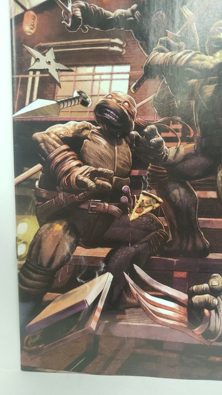Teenage Mutant Ninja Turtles #119 1:10 Incentive Variant 2021 IDW Comics