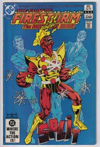 The Fury of Firestorm #13 (1983) Firestorm