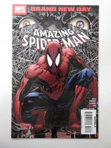 The Amazing Spider-Man #553 (2008)