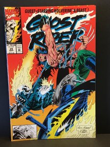 Ghost Rider #29 (1992)