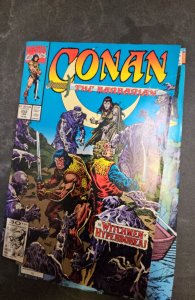 Conan the Barbarian #252 (1992)