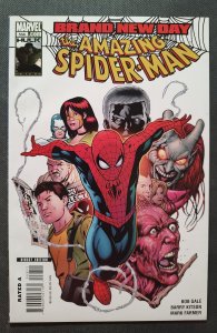 The Amazing Spider-Man #558 (2008)