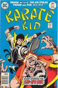 Karate Kid   #6, Fine+ (Stock photo)