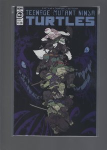 Teenage Mutant Ninja Turtles #114 Cover A