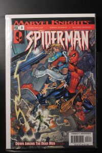 Marvel Knights Spider-Man #3 (2004)