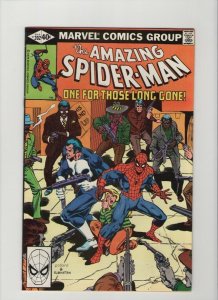 Amazing Spider-Man #202 - Punisher Cover - 1979 (Grade 8.0) WH 