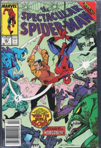 The Spectacular Spider-Man #147 (1989) Spider-Man