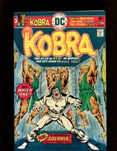 KOBRA #2 (8.0) WHICH ONE?