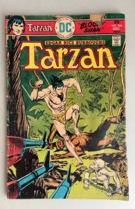 Edgar Rice Burroughs' Tarzan #244 (1975)