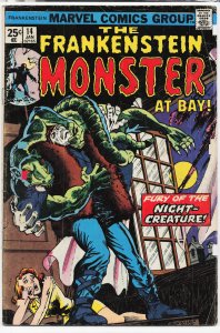 The Frankenstein Monster #14 (1975) Frankenstein Monster