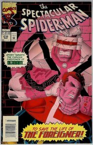 Spectacular Spider-Man 210 Marvel 1994 VF Foreigner Dead-Aim Black Cat