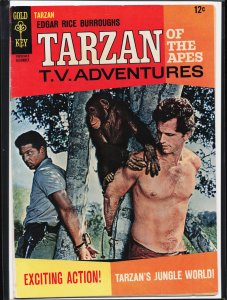 Edgar Rice Burroughs' Tarzan #162 (1966)