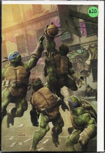 Teenage Mutant Ninja Turtles #143