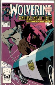 Wolverine #12 (1989) Wolverine