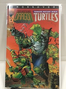 Savage Dragon/Teenage Mutant Ninja Turtles Crossover (1993)