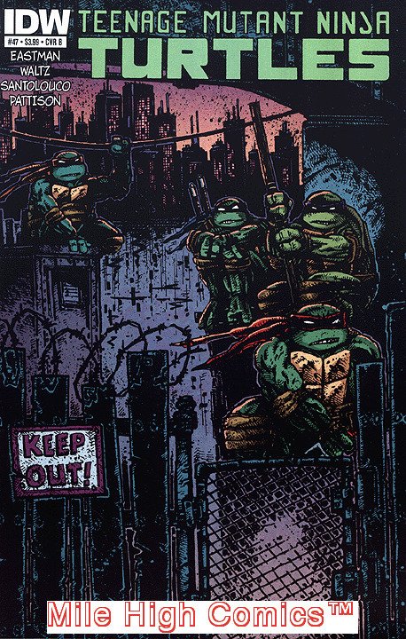 TEENAGE MUTANT NINJA TURTLES  (2011 Series)  (IDW) #47 B Fine Comics Book