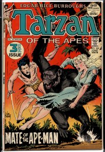 Edgar Rice Burroughs' Tarzan #209 (1972)