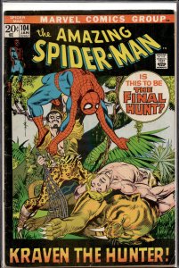 The Amazing Spider-Man #104 (1972) Spider-Man
